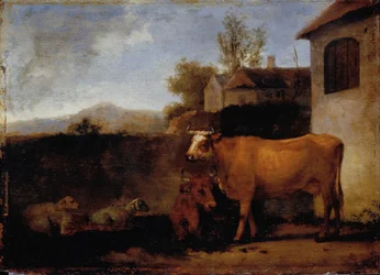 Kühe und Schafe